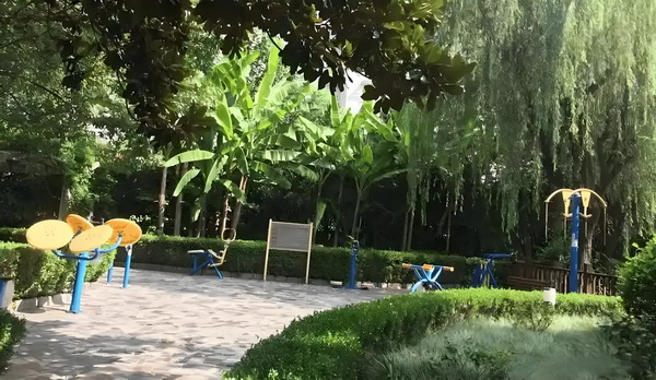 深圳户口申办流程_丁子朗認TVB劇集的確開少咗，放眼世界：唔係淨係得敞台 投资家媒体人、確開少咗
