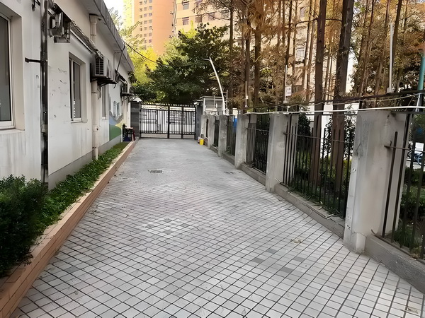 深圳落户落在哪里_专访｜马伊琍：和创作者、观众“共建”那些鲜活的女性形象 举报其妻子张某重婚